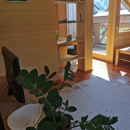 Apartamento Auf Der Scheibe